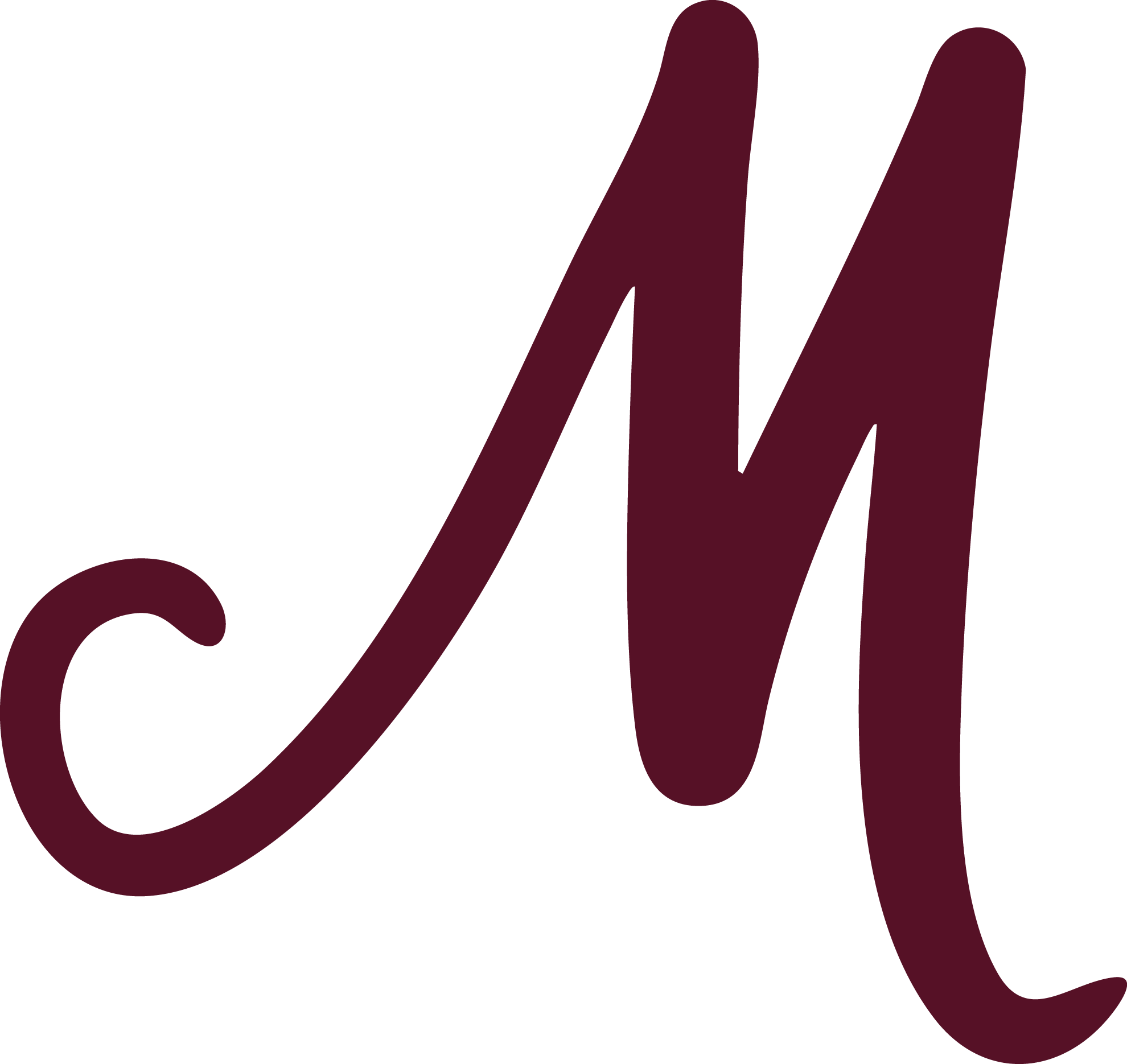 MerijnvanDriesten-icon-x