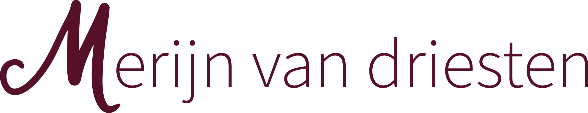 MerijnvanDriesten-logo-x