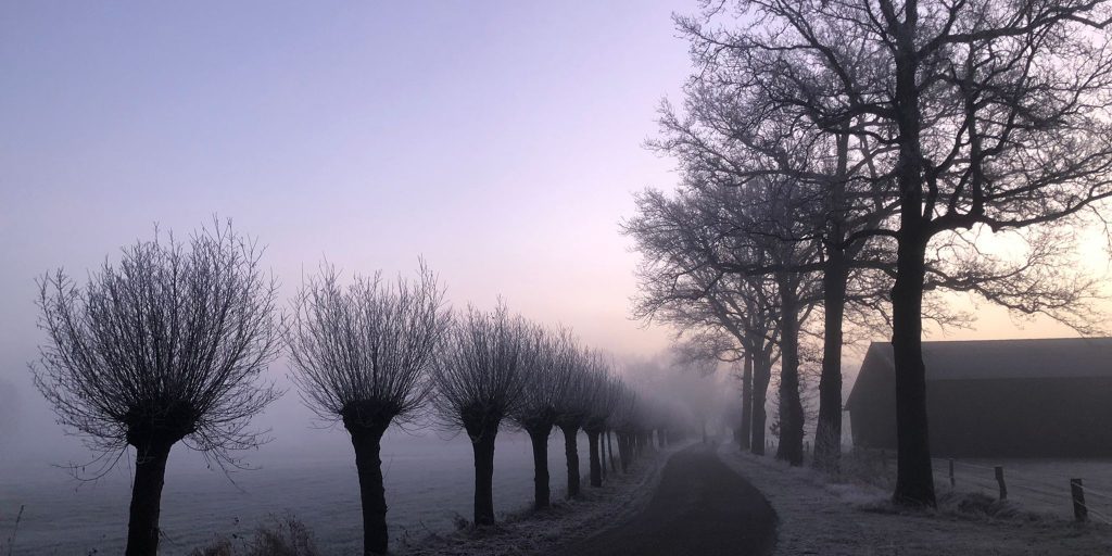 MerijnvanDriesten-beeld93